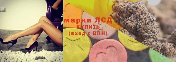 СК Аркадак