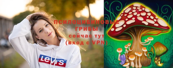 крисы Арсеньев
