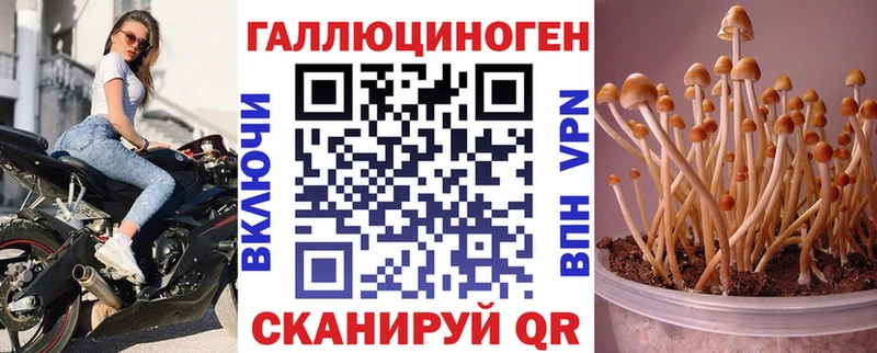 Галлюциногенные грибы Psilocybe  Горнозаводск 